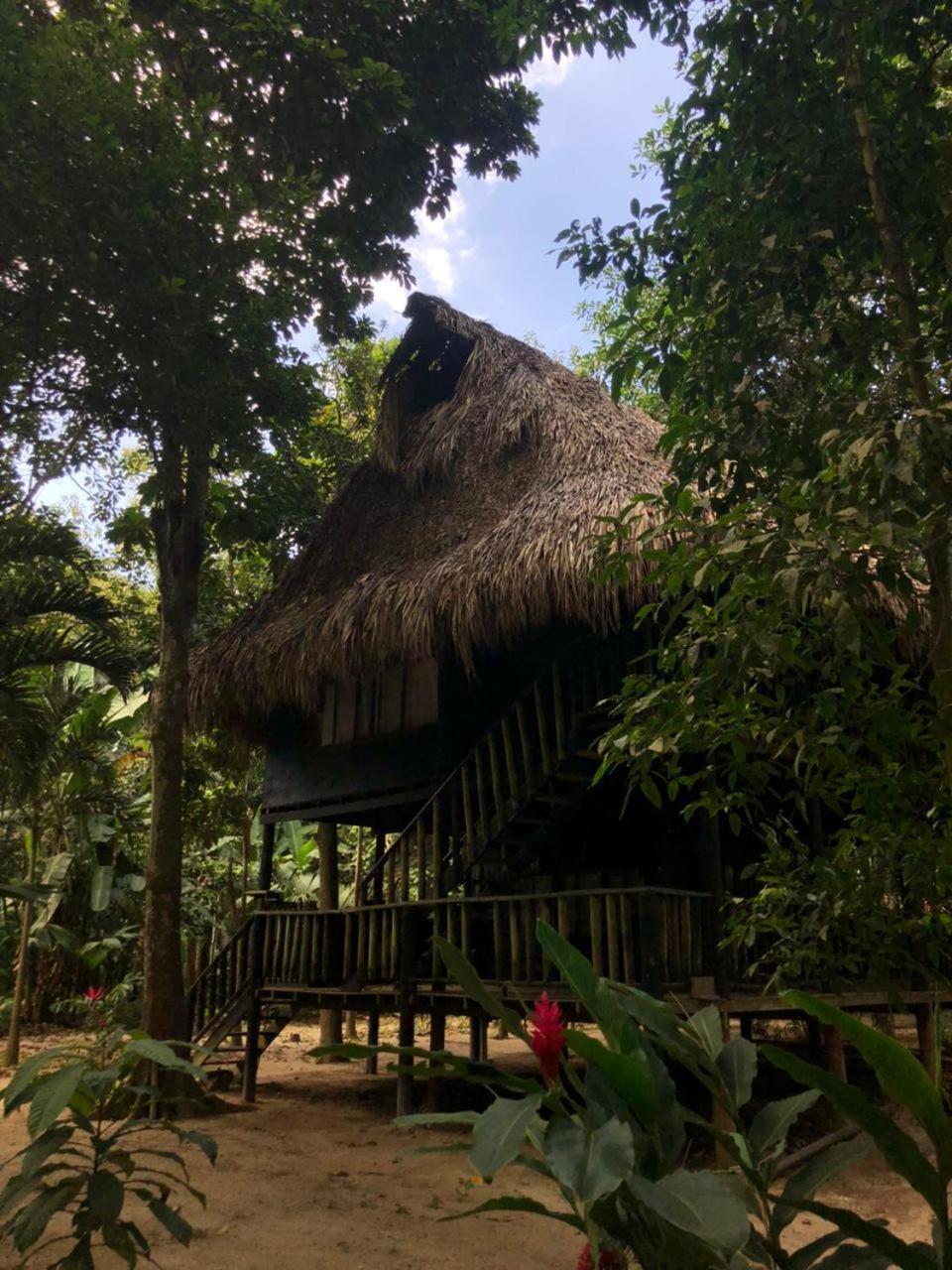 Taironaka Eco Hotel Don Diego Extérieur photo
