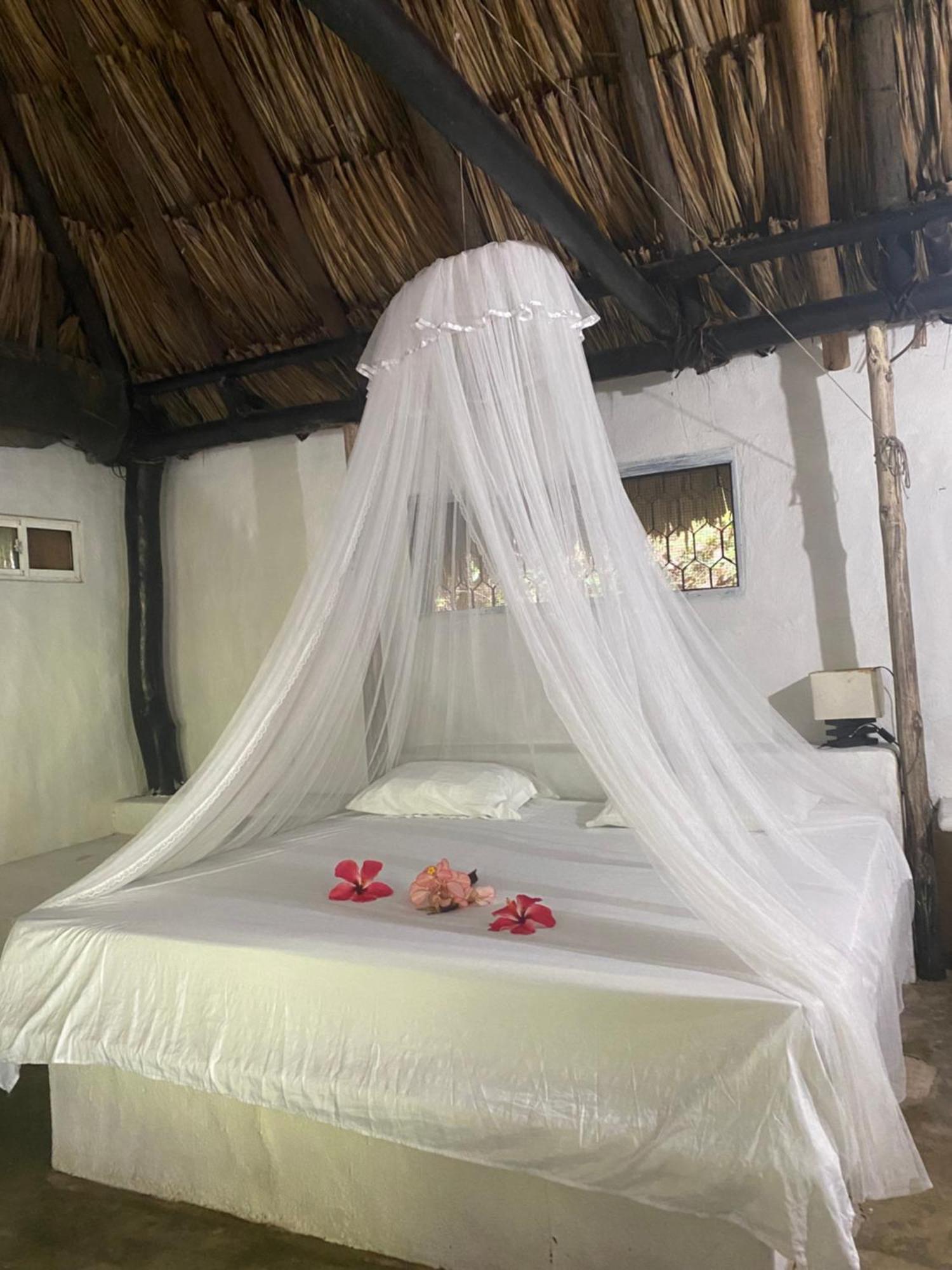 Taironaka Eco Hotel Don Diego Extérieur photo